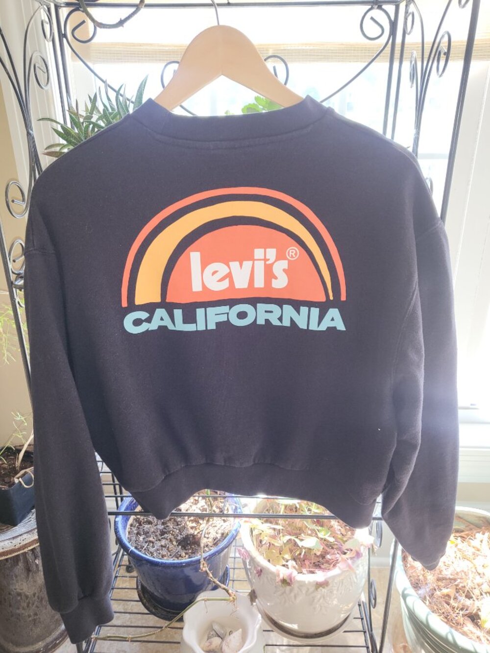 Levi's Graphic Vintage Crew California Rainbow Cropped Sweatshirt Black Small S